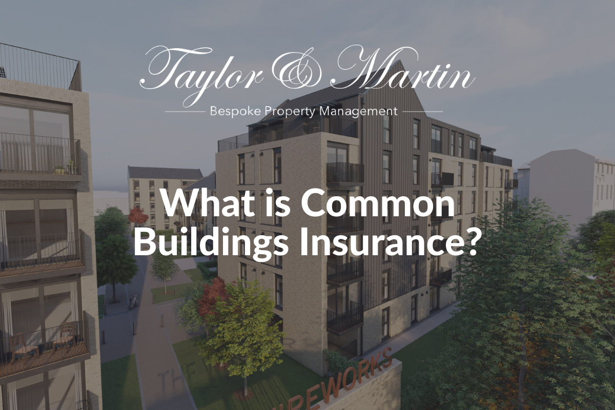 what-is-common-building-insurance-taylor-martin